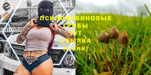 ешки Верхнеуральск